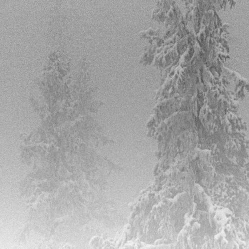 Vintlechkeit : Kald og Dod...